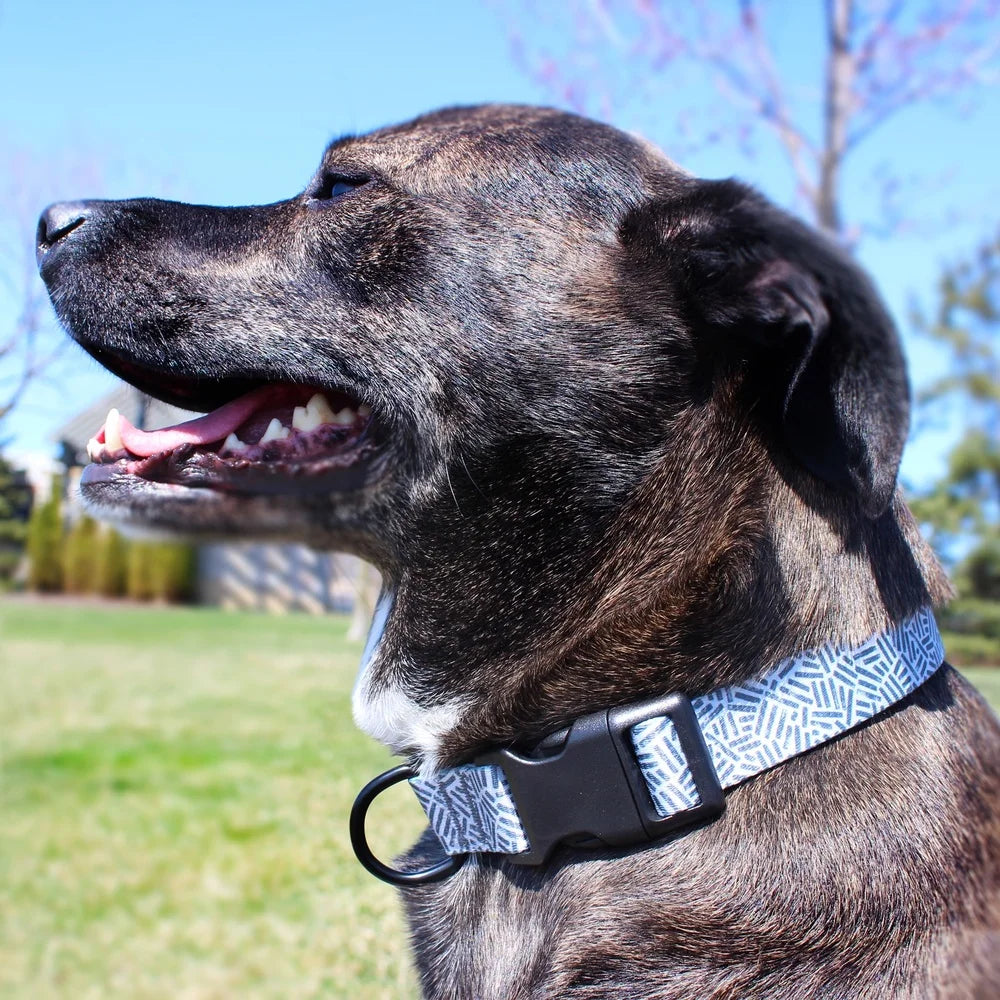 Adjustable Cushioned Dog Collar for Large Breeds – Durable Polyester with D-Ring & Secure Prong Buckle