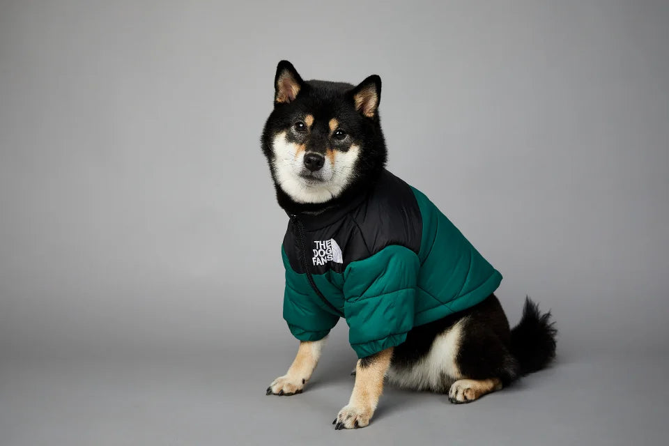 . Dog Fans Winter Pet Down Jacket – Thick Warm Coat for Small & Medium Dogs