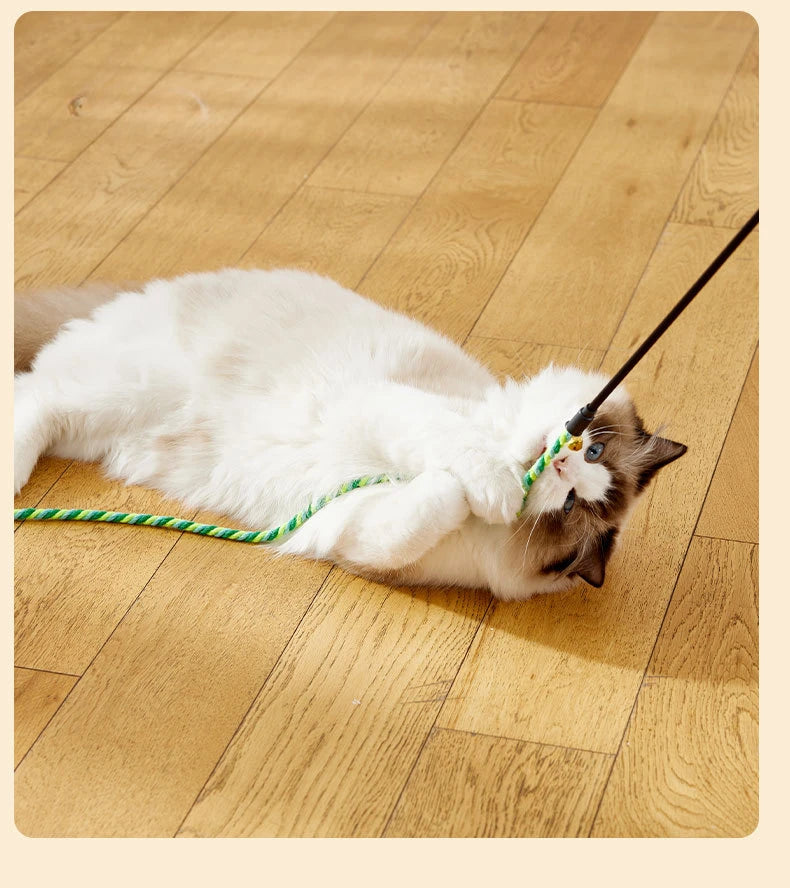 Feather Cat Teaser Wand Toy – Interactive Cat Toy with Satin Ribbon & Bell, Kitten Play Stick for Indoor Exercise