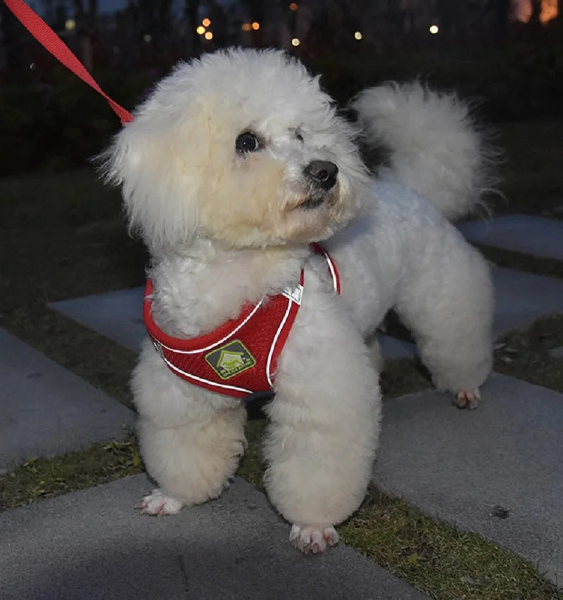 Reflective Pet Harness and Leash Set – No Pull Dog Vest with Breathable Mesh for Dogs & Cats