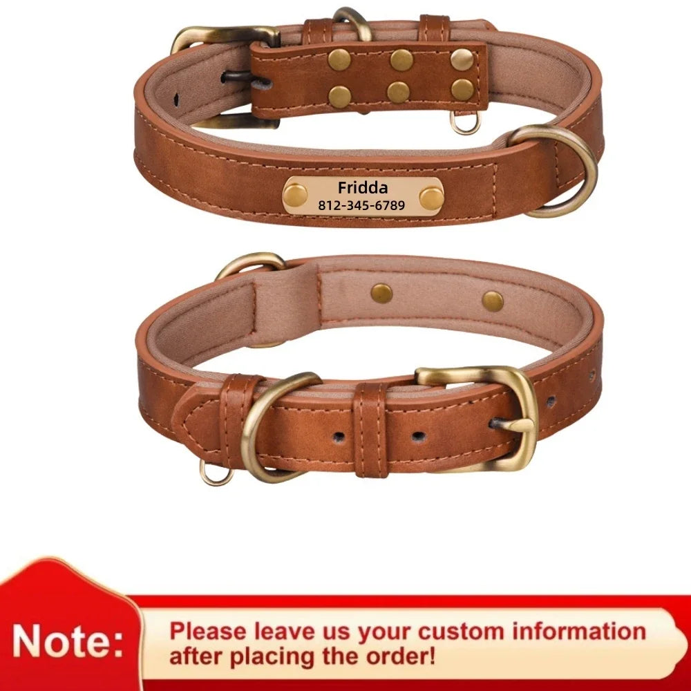ersonalized Leather Dog Collar with Engraved ID Nameplate – Soft Padded Custom Collar for Small, Medium & Large Dogs