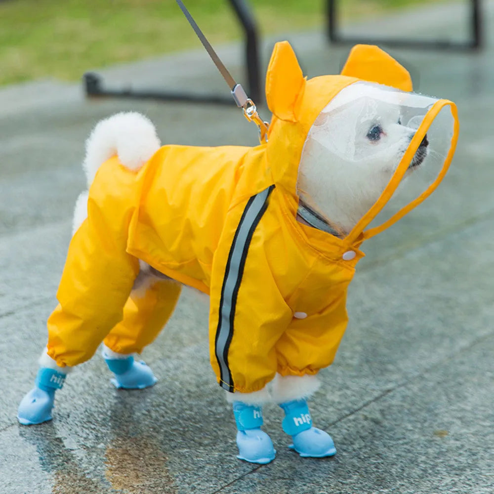 Bear Dog Raincoat – Full Body Waterproof Puppy Jacket with Hood