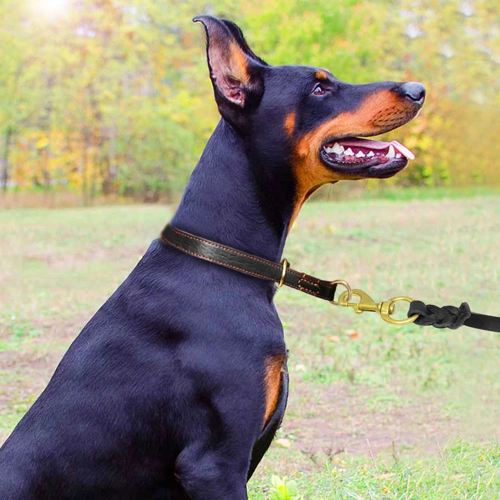 Durable Real Leather Slip Collar – Choke Training Dog Collar for Medium & Large Breeds (Black/Brown)