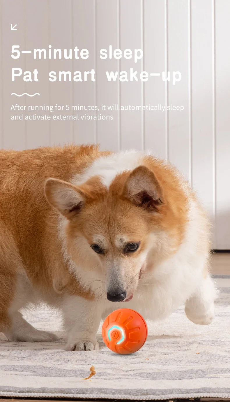 Smart Electronic Interactive Pet Toy Ball – USB Rechargeable Moving, Jumping & Bouncing Ball for Dogs & Cats