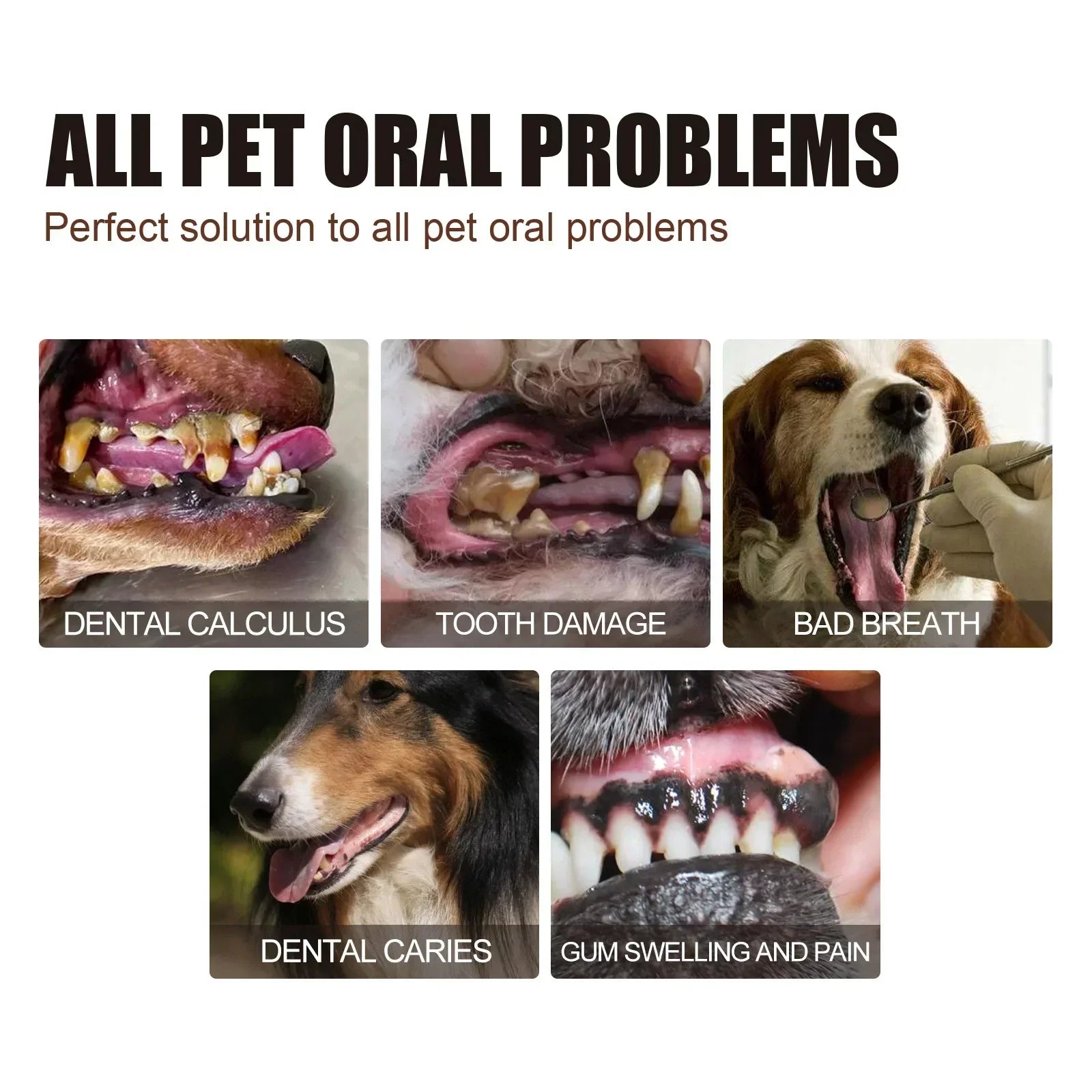 Pet Dental Care Spray – 30ml Oral Cleaning & Breath Freshener for Dogs and Cats | Deodorizing Tooth Cleaning Spray