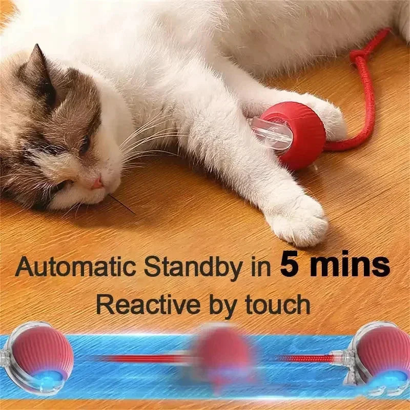 Rechargeable Smart Rolling Ball Toy – Automatic Interactive Electric Toy for Cats & Small Dogs with Simulated Tail