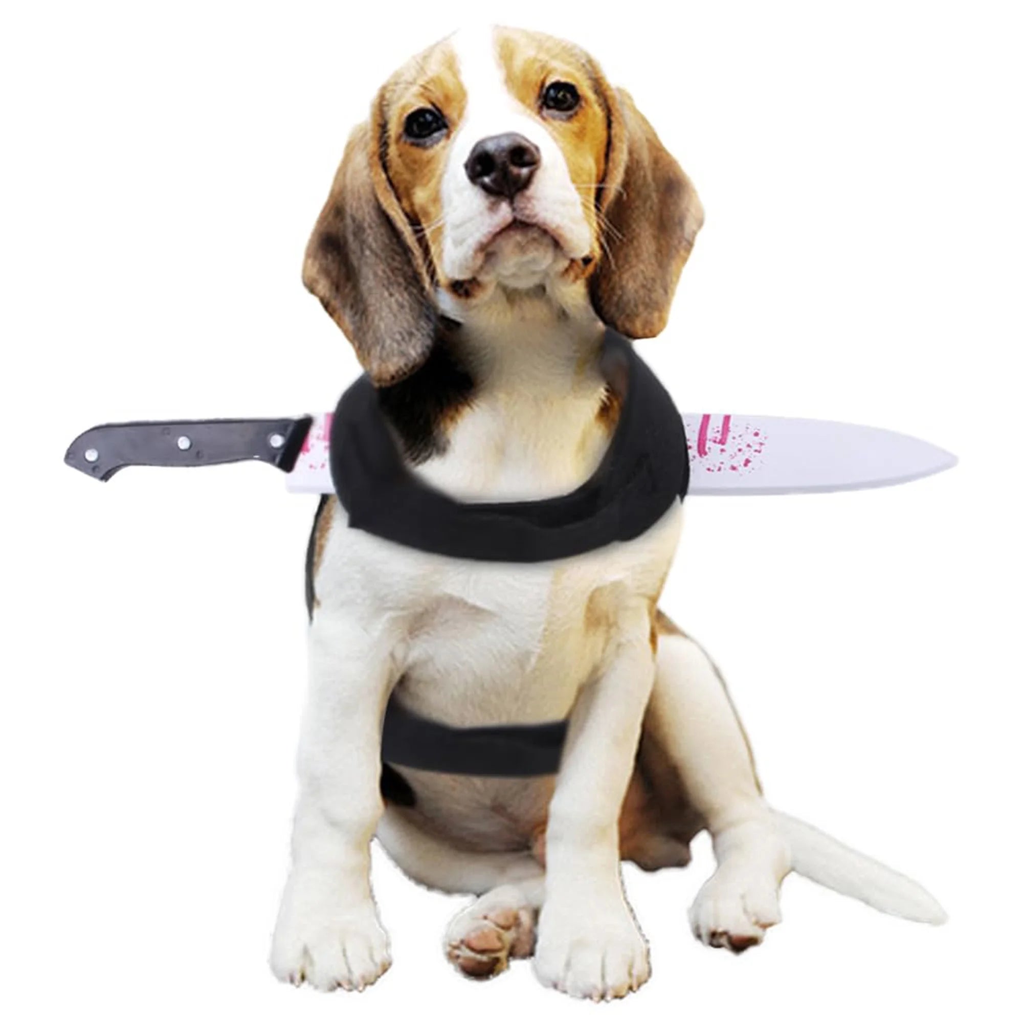 Funny Shark Hat Costume – Halloween Pet Outfit for Small Dogs & Cats