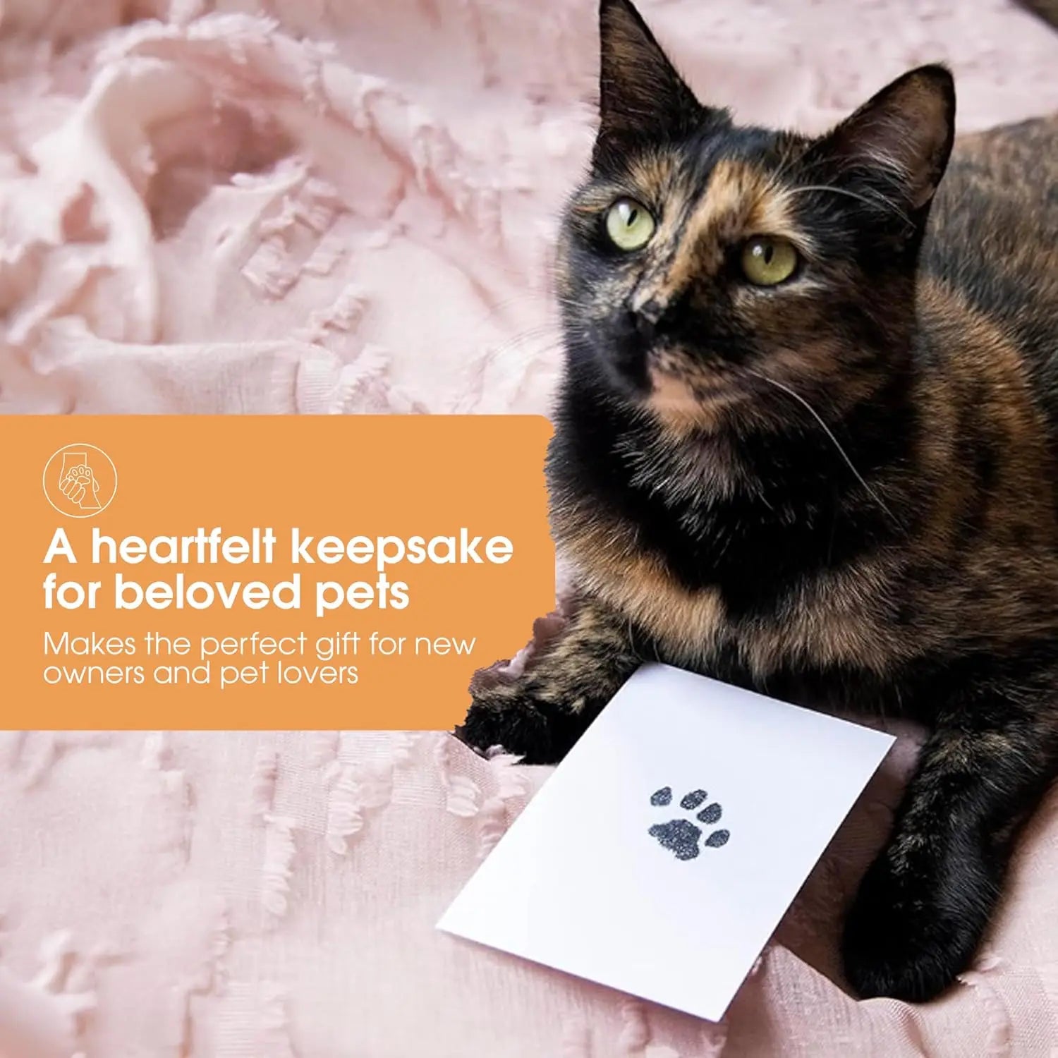 Paw Print Ink Pad Kit – Clean Touch Keepsake for Dogs & Cats, DIY Inkless Paw & Nose Print Set