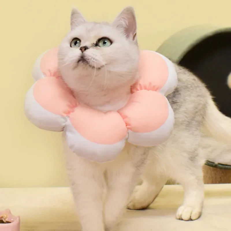 1Pc Soft Cotton Cat Recovery Cone – Adjustable E-Collar for Cats & Small Dogs
