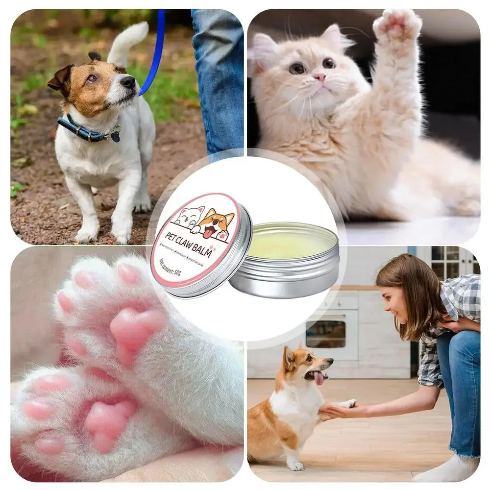 Paw Balm for Cats & Dogs – 50g Protective Cream for Paws & Nose | Moisturizer for Cracked Feet, Dry Skin & Pet Care Relief
