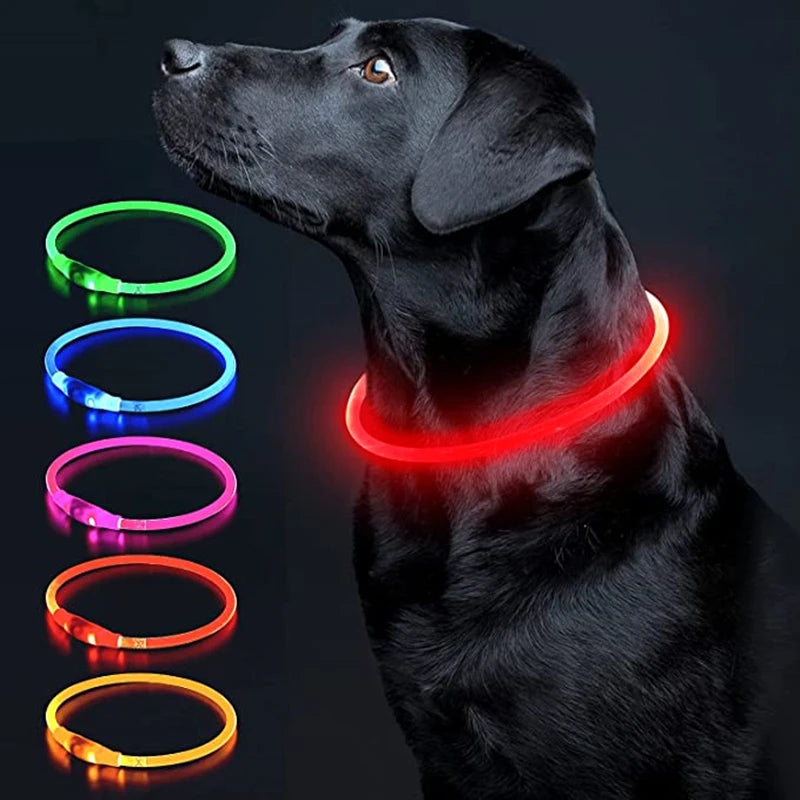 USB Charging LED Luminous Dog Collar – Adjustable Flashing Safety Light Necklace for Dogs & Cats
