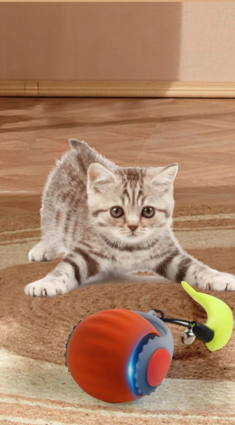 Rechargeable Automatic Cat Ball Toy – Smart Rolling Ball with Faux Tail for Interactive Play