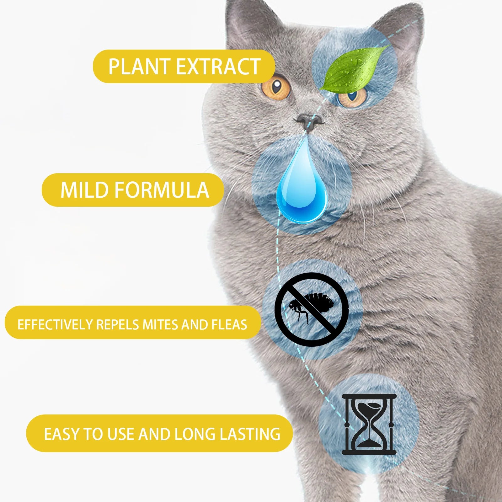 Cat Flea & Tick Treatment Drops – Itch Relief and Pest Repellent