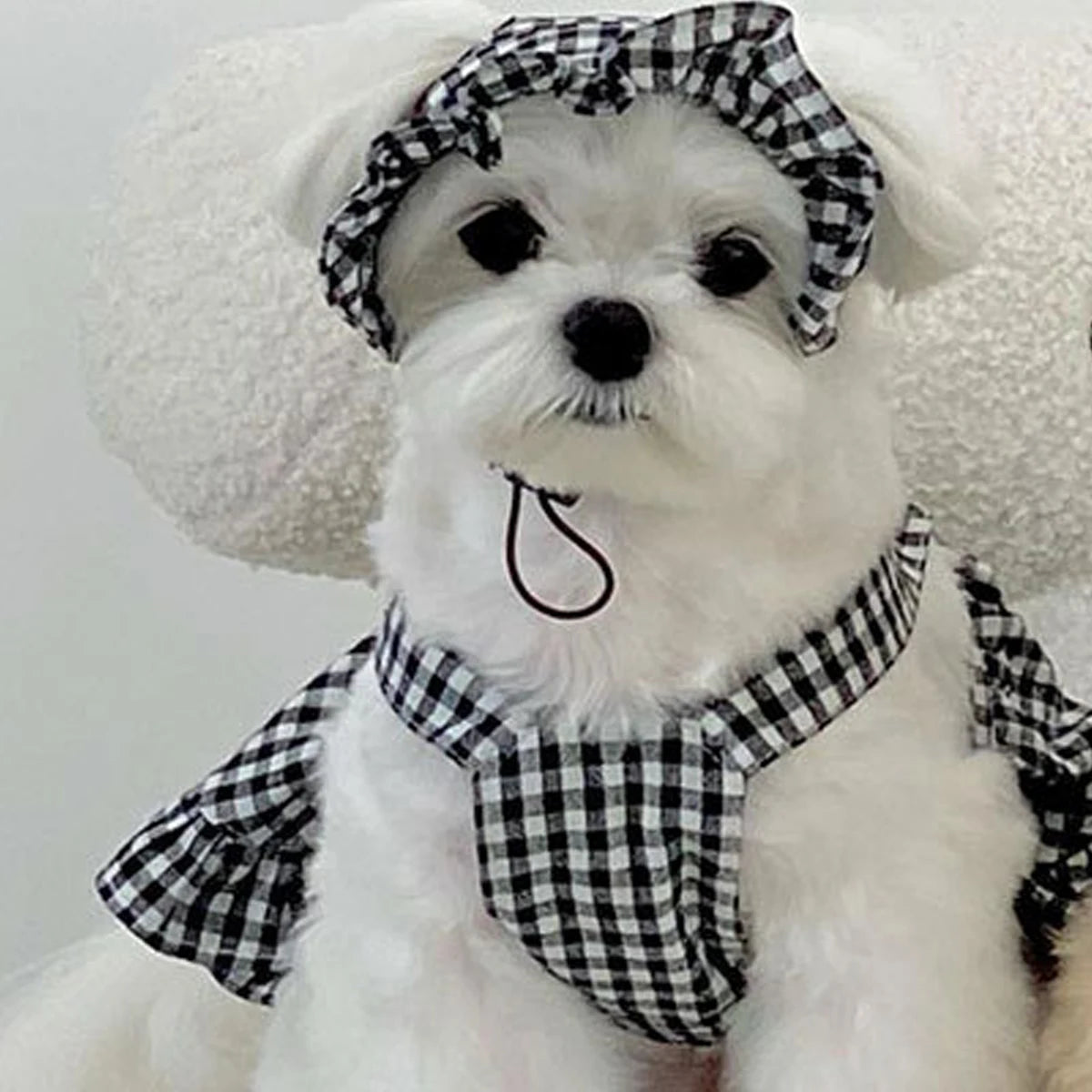 Dog Plaid Dress with Hat – Black & White Summer Outfit for Small Dogs and Puppies