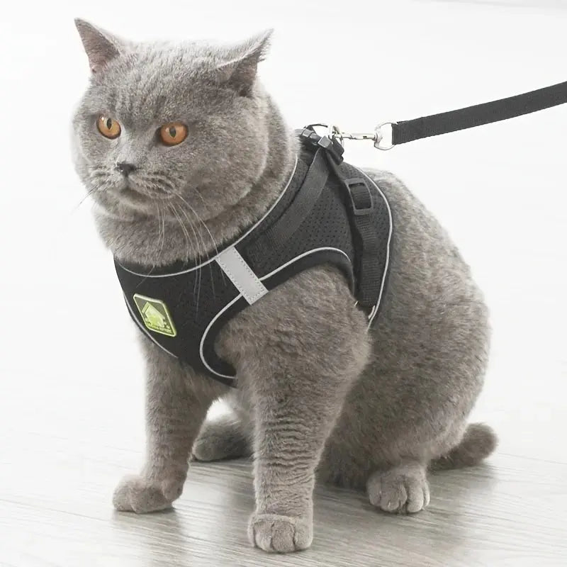 Reflective Pet Harness and Leash Set – No Pull Dog Vest with Breathable Mesh for Dogs & Cats