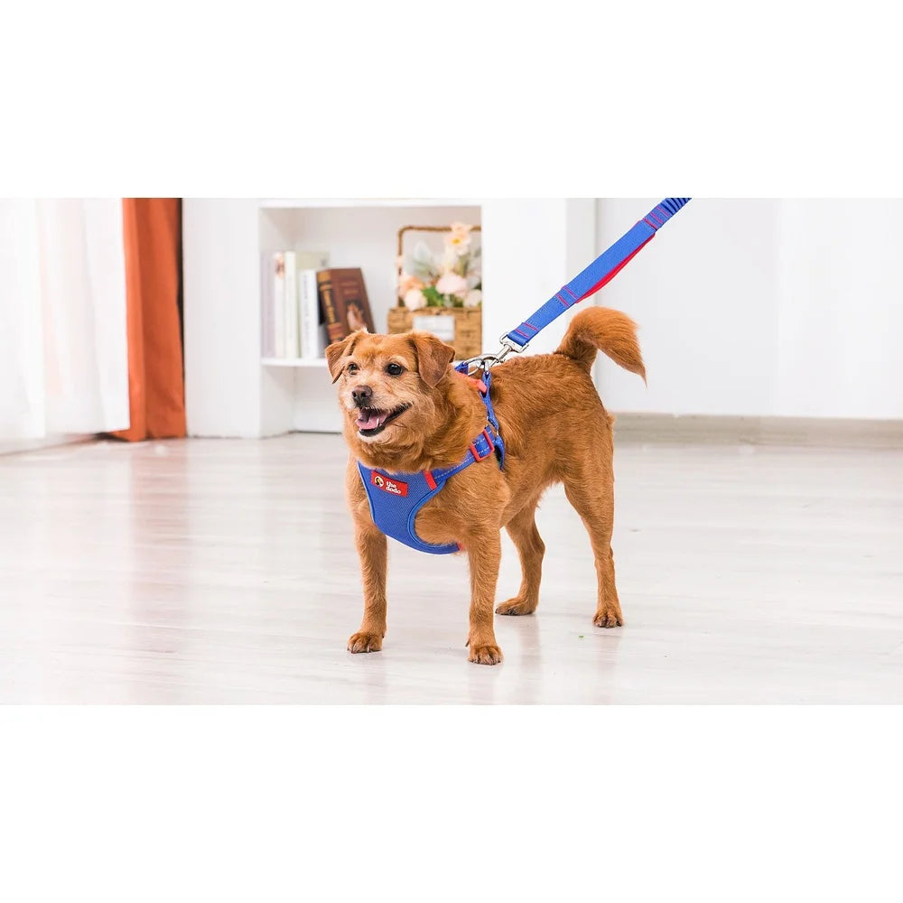 Adjustable Step-In Dog Harness – Breathable Mesh with Wide Chest Coverage & Secure Snap Buckle