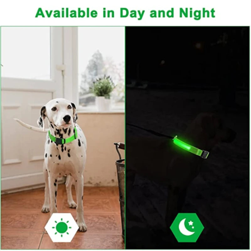 LED Luminous Dog Collar – Adjustable USB Rechargeable Glowing Pet Collar, Anti-Lost & Safety Flashing Light