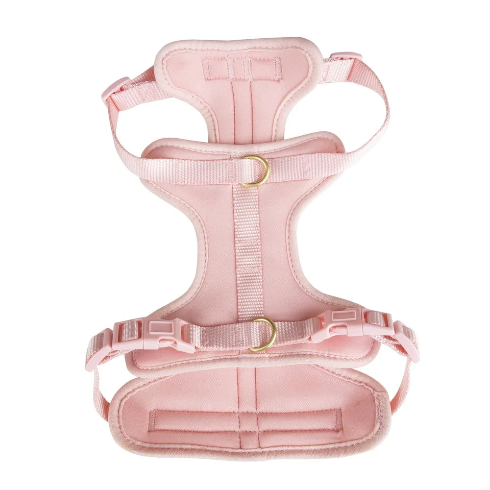 Adjustable Neoprene Dog Harness – XS Soft & Durable Walking Vest with Dual D-Rings for Secure Control