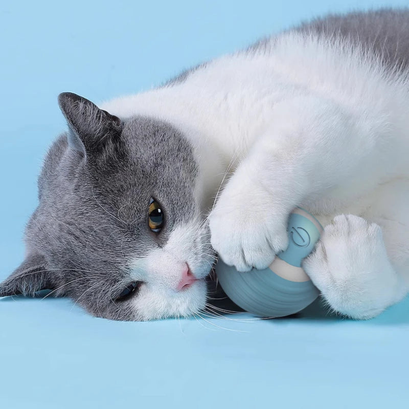 Automatic Rolling Cat Ball – Self-Moving Electric Toy for Kitten Play and Training