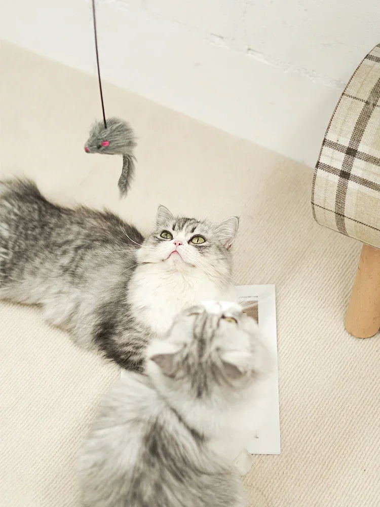 Hanging Simulation Mouse Cat Toy – Retractable Door Teaser with Scratch Rope