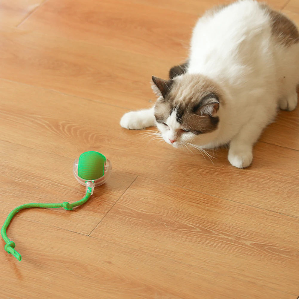 2PC/1PC Cat Interactive Ball Toys – Automatic Rolling, Self-Rotating, Rechargeable Balls for Indoor Cats & Kittens