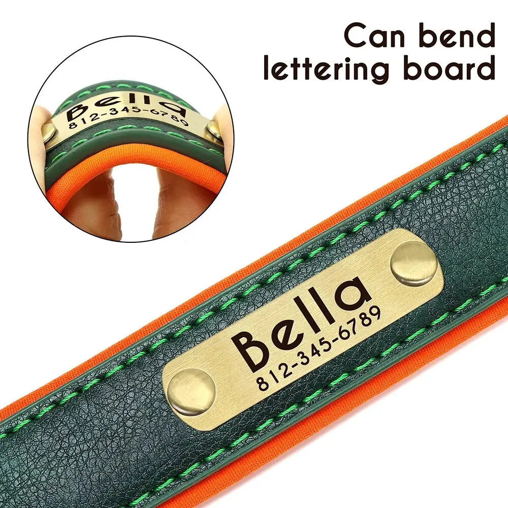 ersonalized Leather Dog Collar with Engraved ID Nameplate – Soft Padded Custom Collar for Small, Medium & Large Dogs