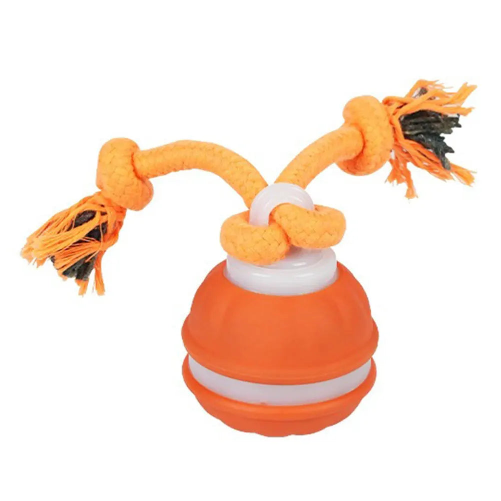 Interactive Dog Toy Ball – USB Rechargeable Motion-Activated Ball with Rope & Squeaker for Small & Medium Dogs, Puppy Play Toy
