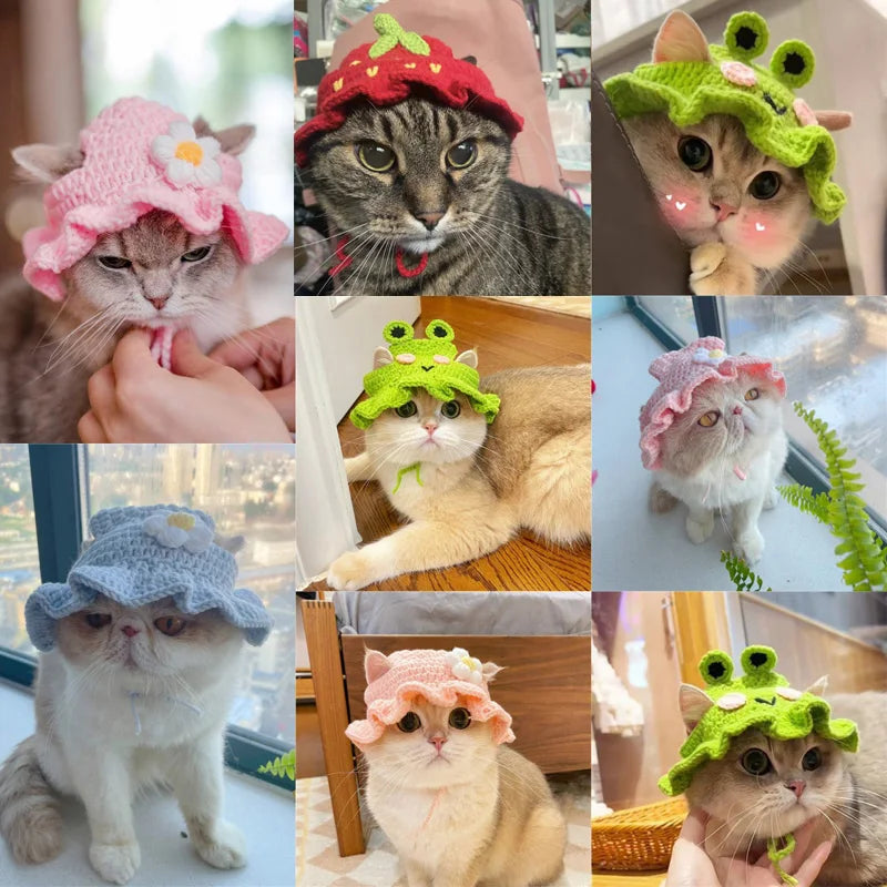 Knitted Cat Hat – Autumn Winter Pet Hat for Cats, Kittens & Small Dogs