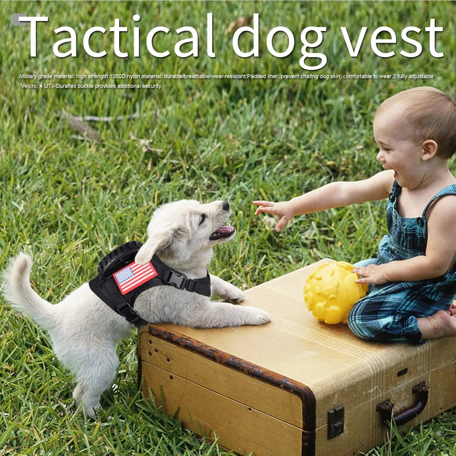Tactical Harness & Leash Set for Small Dogs and Cats – Adjustable, Durable, and Secure for Training or Walking