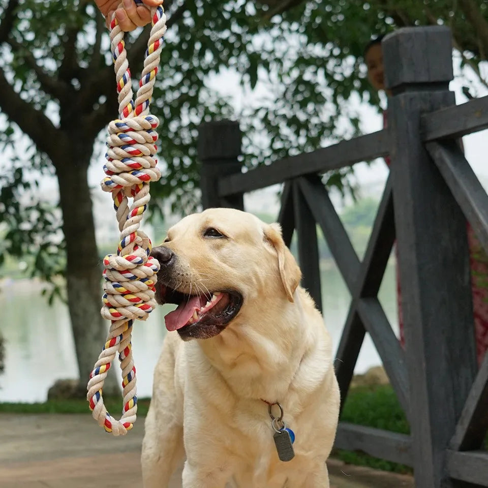 Bite-Resistant Rope Knot Toy – Durable Chew Toy for Medium & Large Dogs