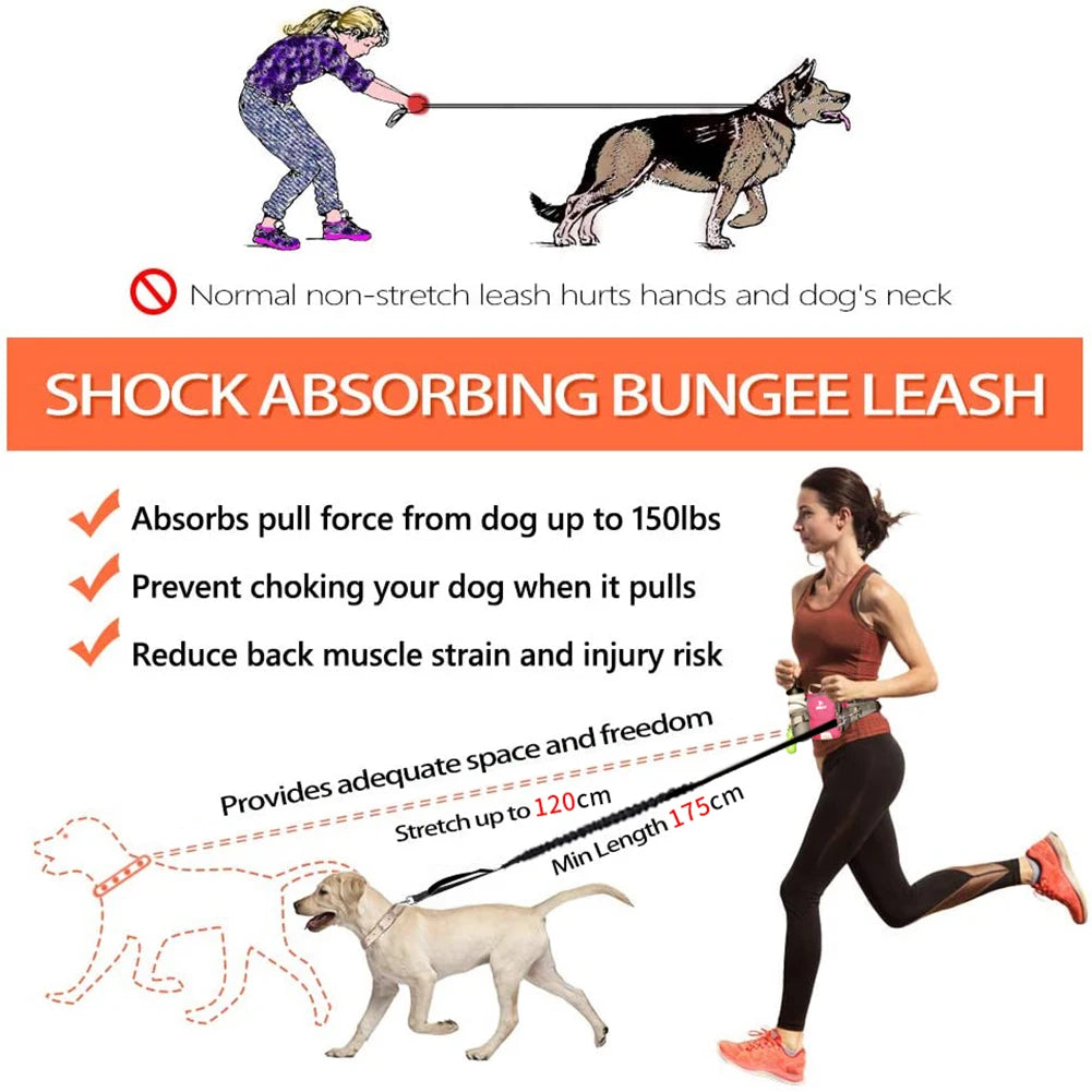 Retractable Hands-Free Dog Leash with Waist Bag – Adjustable Belt & Bottle Holder