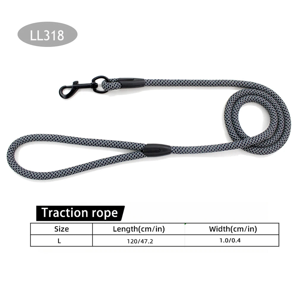 2-in-1 Classic Dog Collar and Leash Set – Adjustable Black Mesh P Rope Nylon Training Harness with Slip Strap