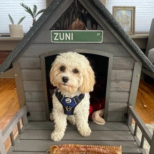 100% Insulated Outdoor Dog House – Winter Dog Kennel with Waterproof Liner & Sturdy Metal Frame