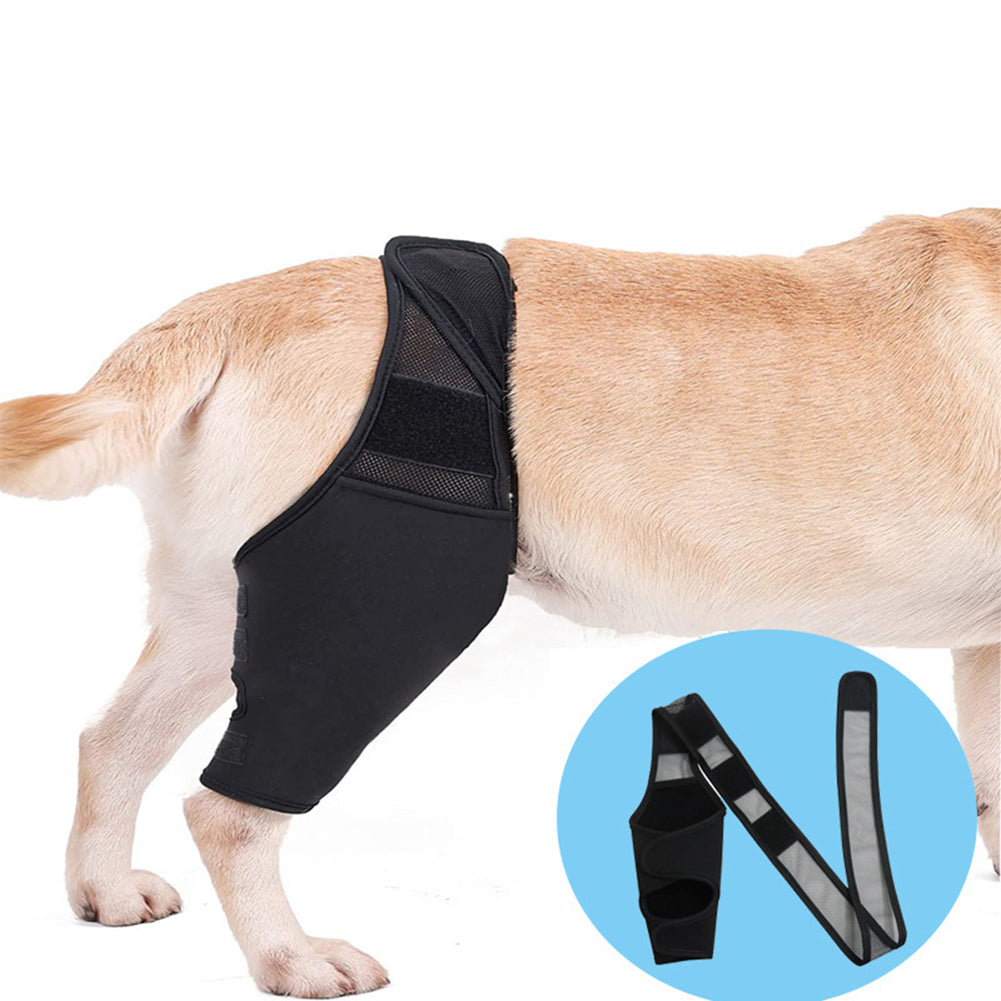 Universal Dog Hip & Knee Brace – Breathable, Elastic Leg Support for Pets