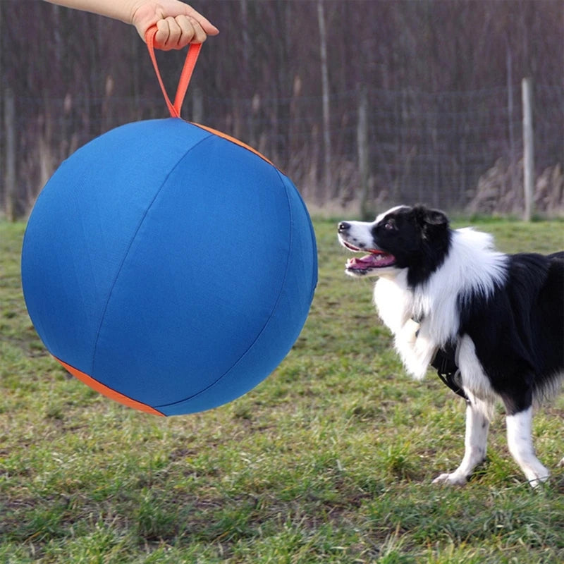 Pet Herding Ball – Interactive Training & Exercise Toy for Dogs