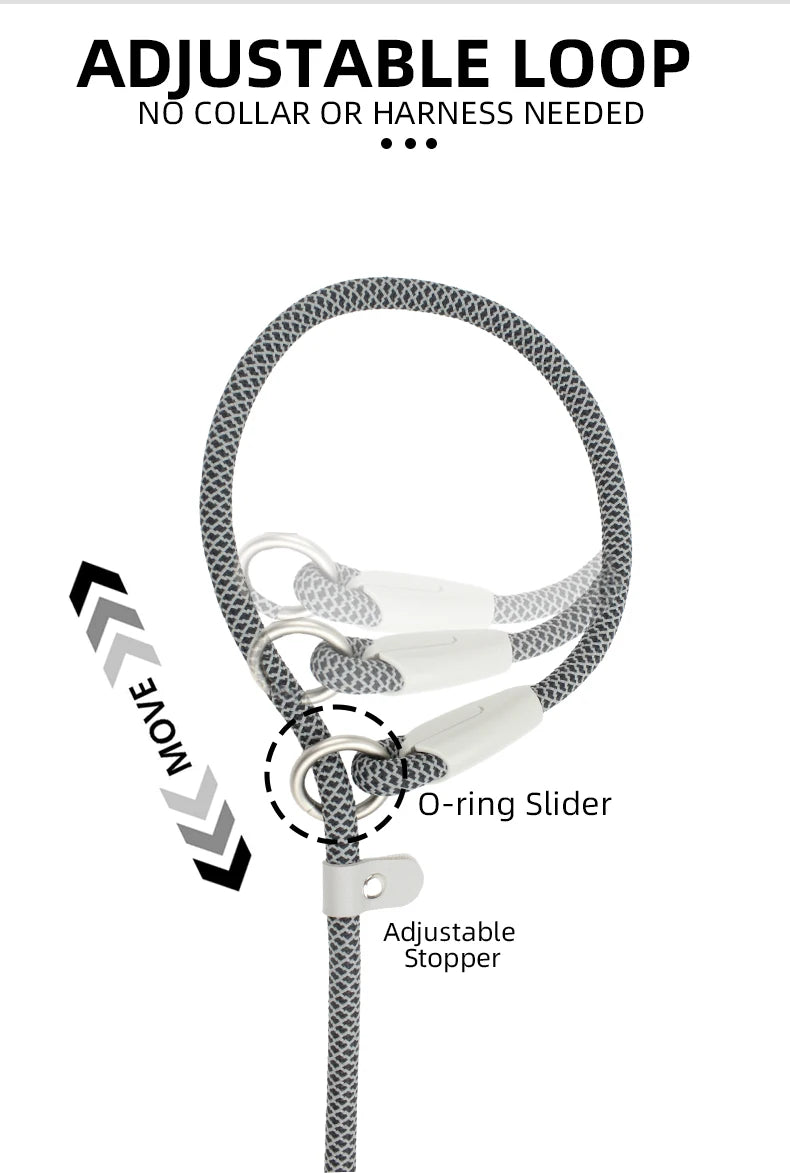 2-in-1 Classic Dog Collar and Leash Set – Adjustable Black Mesh P Rope Nylon Training Harness with Slip Strap