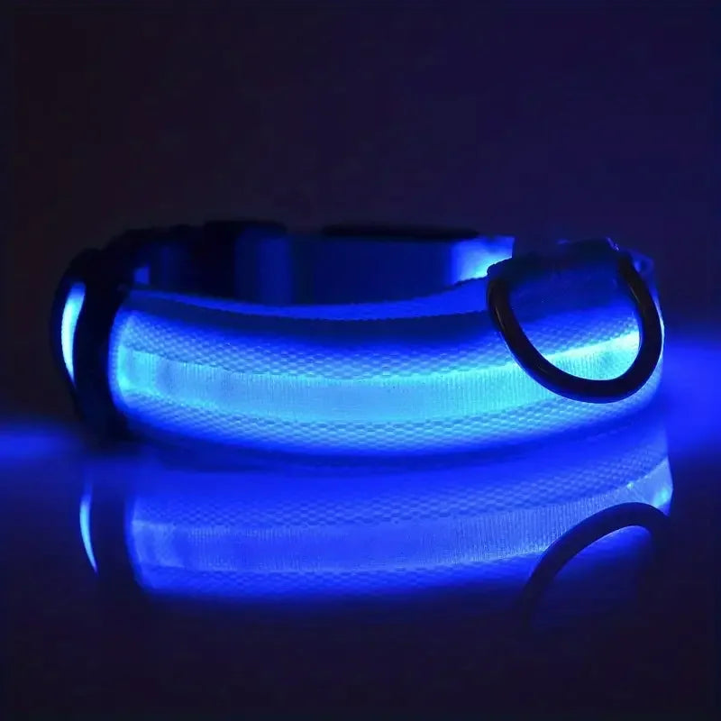LED Dog Leash & Collar – Nylon Glow-in-the-Dark Safety Set for Night Walks
