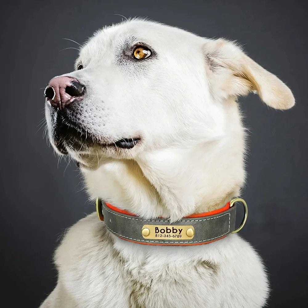ersonalized Leather Dog Collar with Engraved ID Nameplate – Soft Padded Custom Collar for Small, Medium & Large Dogs