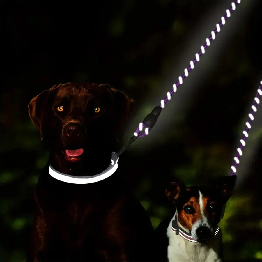 Dual Dog Leash – 360° Swivel No-Tangle Walking Lead for Small Dogs