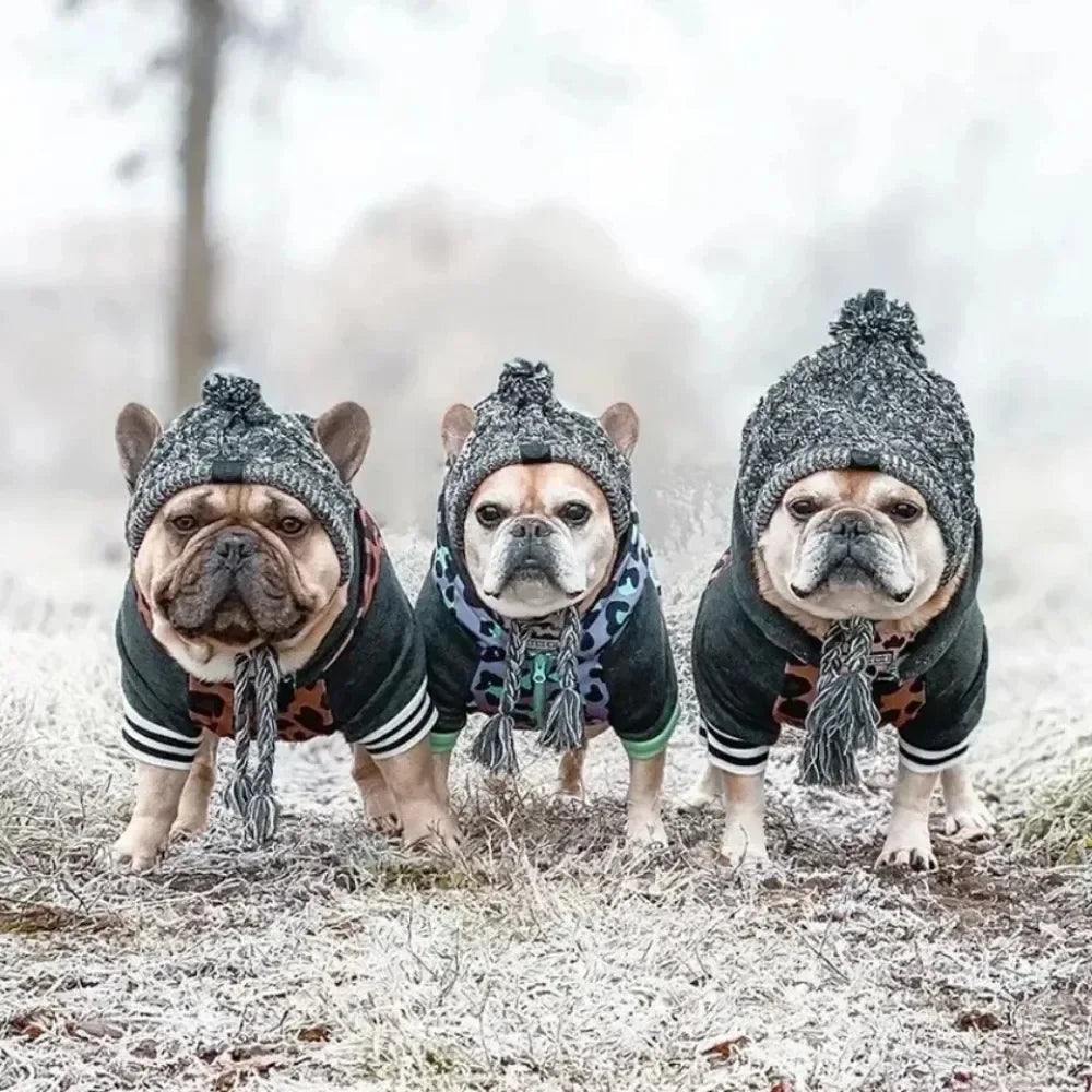 Winter Knitted Pet Hat – Warm Woolen Cap with Fur Ball for Cats & Dogs