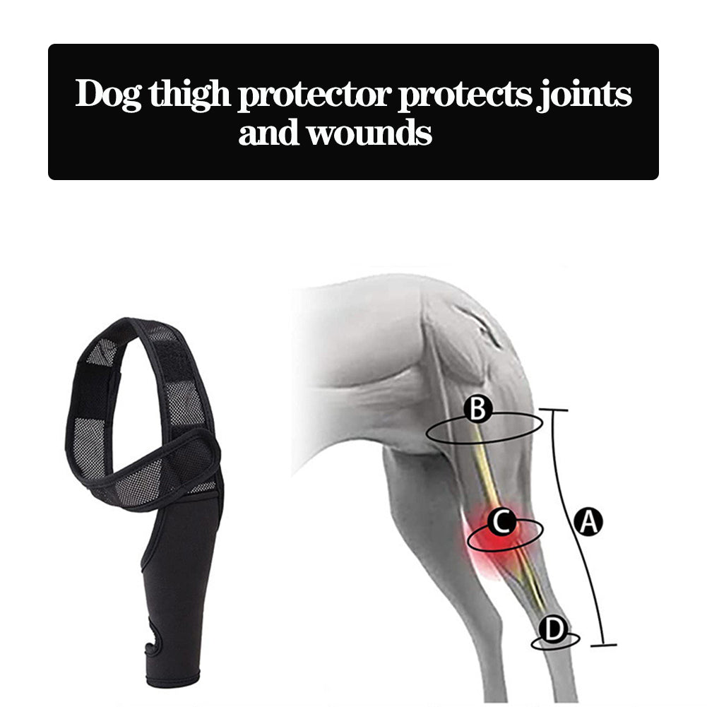 Universal Dog Hip & Knee Brace – Breathable, Elastic Leg Support for Pets