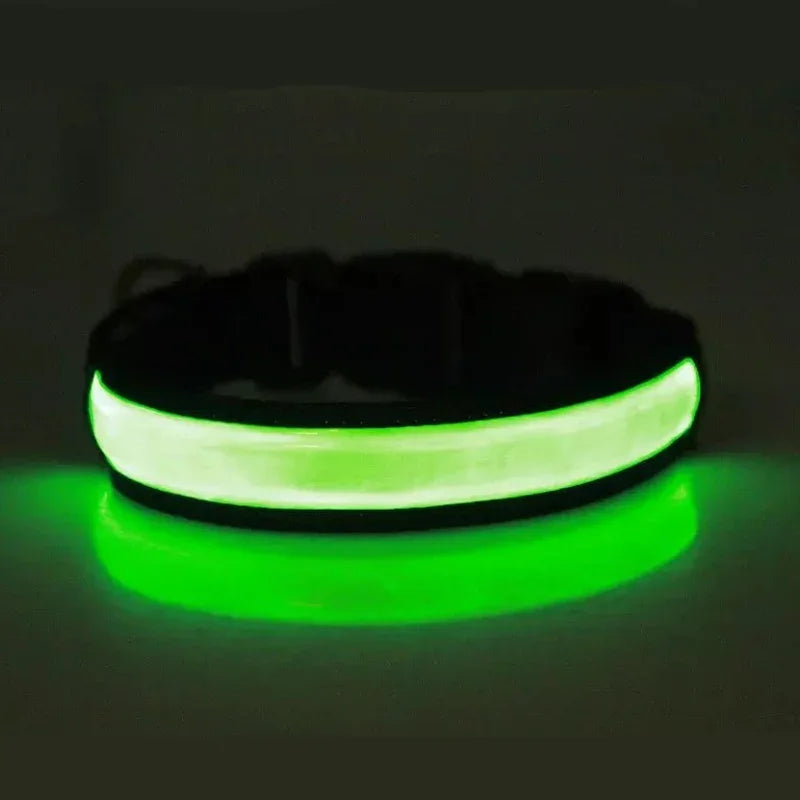 LED Glowing Dog Collar – USB Rechargeable Adjustable Flashing Safety Night Light for Small, Medium & Large Dogs
