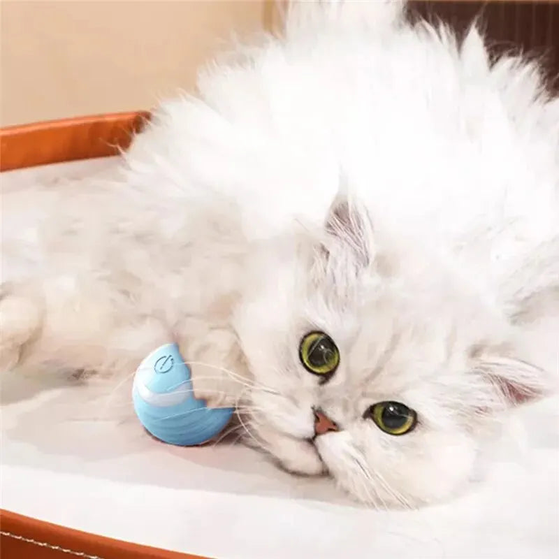 Automatic Rolling Cat Ball – Self-Moving Electric Toy for Kitten Play and Training