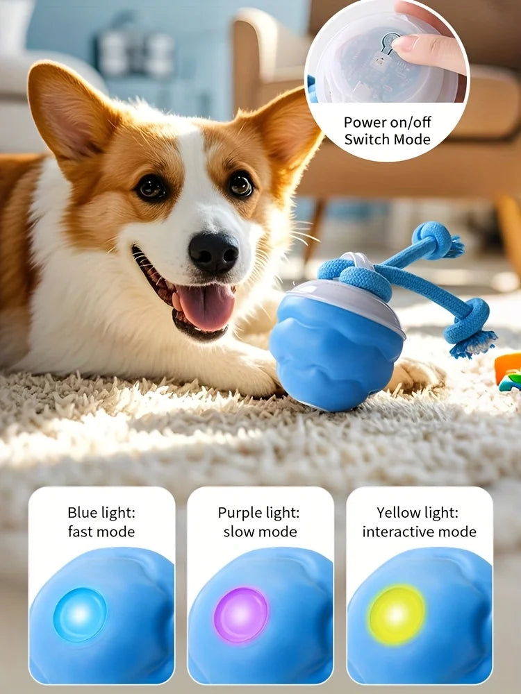 Smart Interactive Rolling Ball for Dogs – Durable Electric Chew-Proof Toy with Self-Entertainment & Teeth Grinding