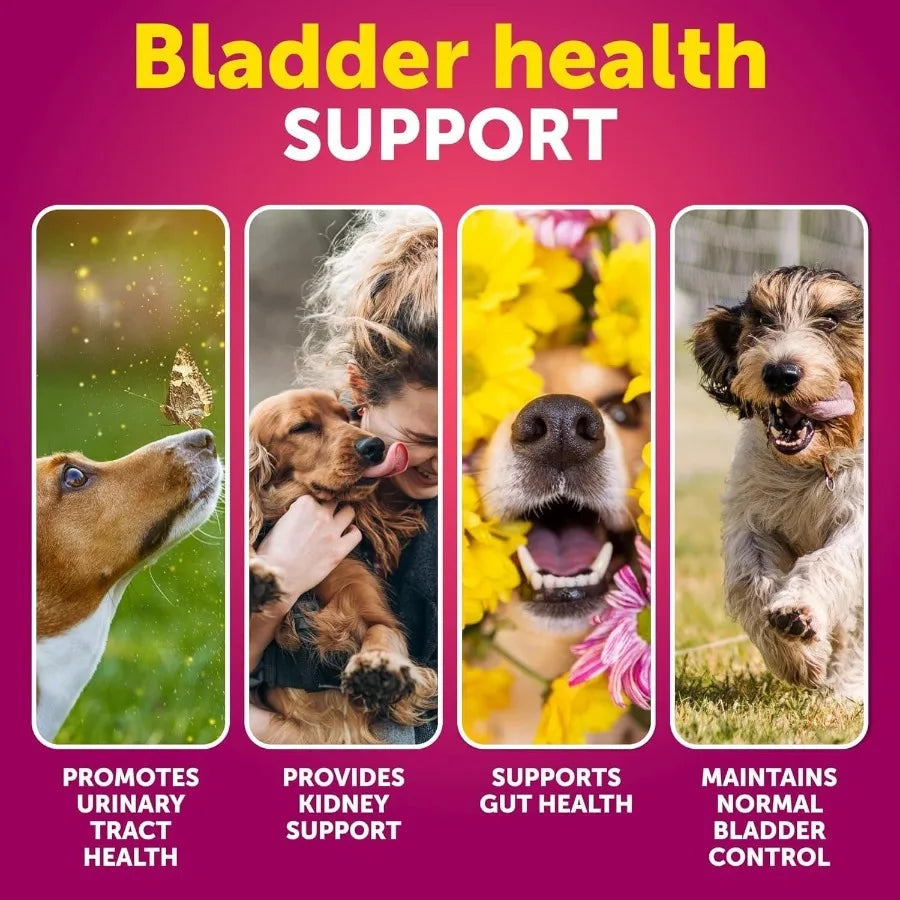 Dog UTI & Bladder Support Supplement – Cranberry Formula for Urinary Health & Incontinence Relief