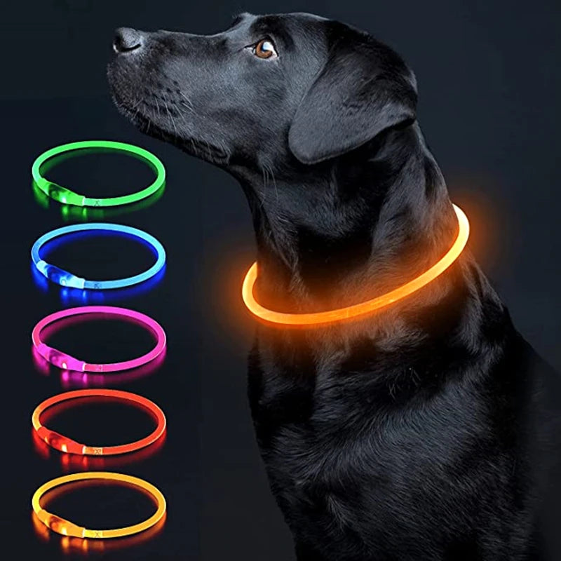 USB Charging LED Luminous Dog Collar – Adjustable Flashing Safety Light Necklace for Dogs & Cats