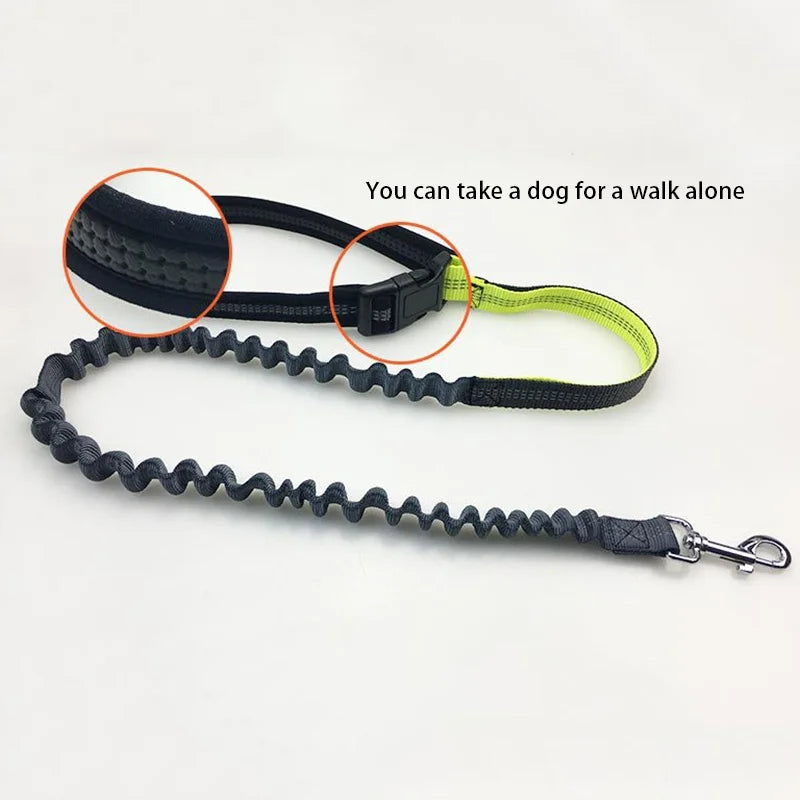 Hands-Free Dog Leash with Running Belt – Adjustable, Reflective, Multi-Functional Jogging Leash Set for Active Dog Owners