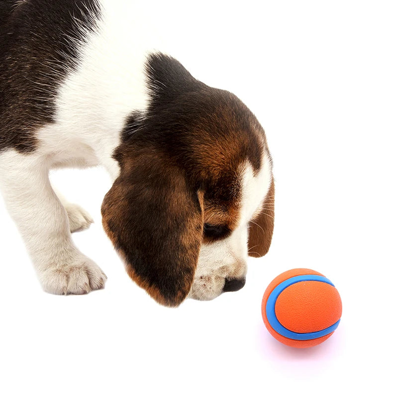 Durable Dog Toy Ball – Tough Chew-Resistant Fetch Ball for Large, Medium & Small Dogs