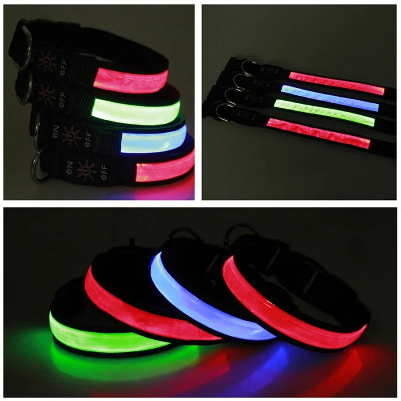 LED Glowing Dog Collar – USB Rechargeable Adjustable Flashing Safety Night Light for Small, Medium & Large Dogs