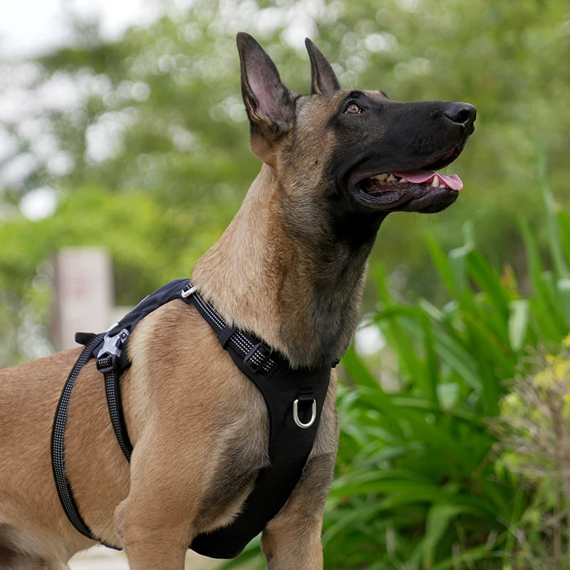 TRUELOVE Escape-Proof Tactical Dog Harness – Training Vest with Zipper Pocket & Control Handle
